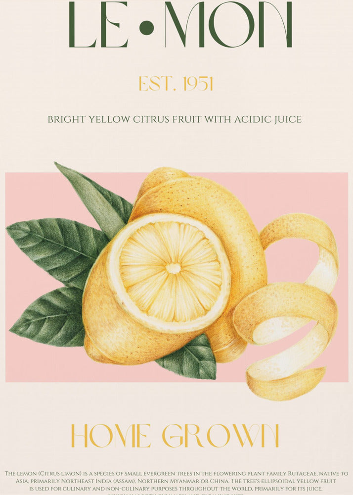 Skivad citron med löv i vintagestil | Poster