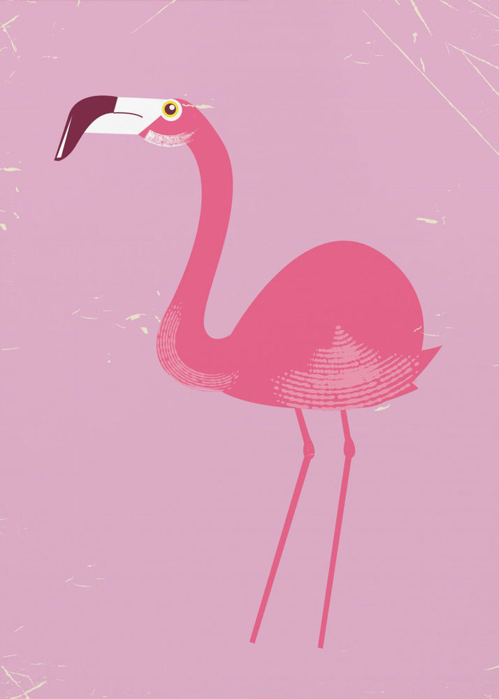 Flamingofågel | Canvastavla