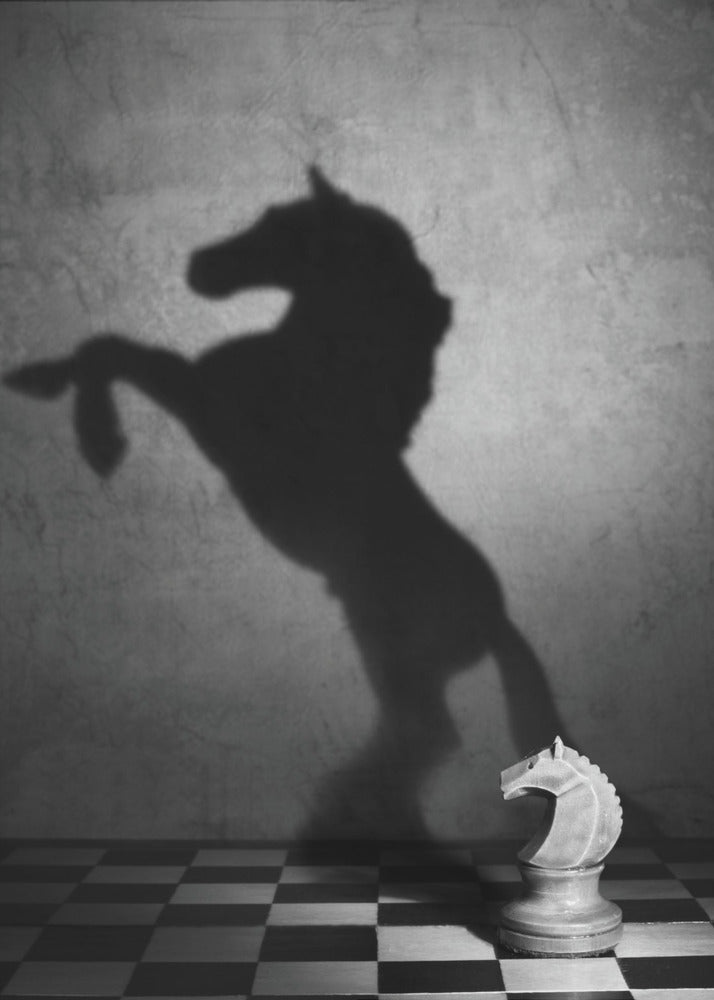 En mustangs själ | Poster