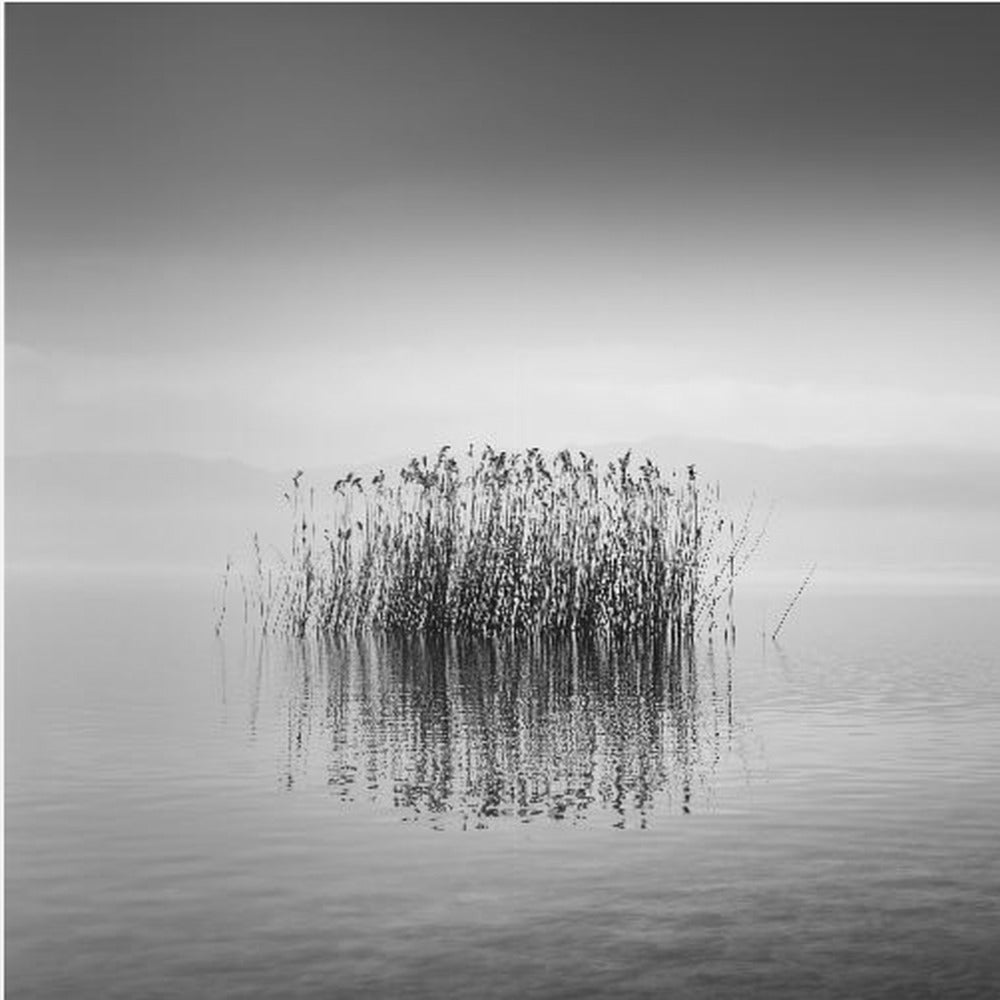 Black and White Silence | Canvas