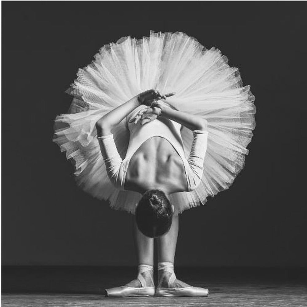 Ballerina på lektion | Canvas