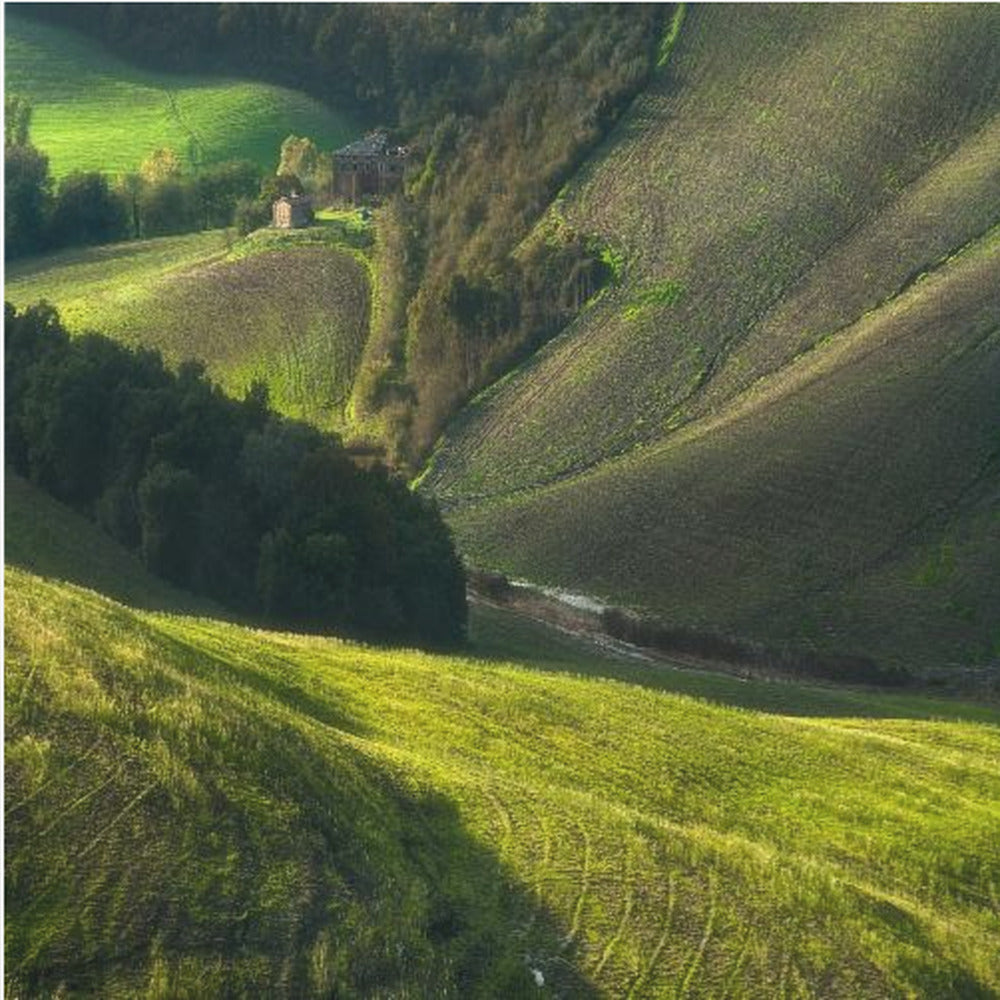 Crete Senses/Toscana | Poster