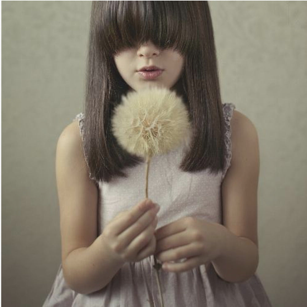 Secret Wishes | Canvas