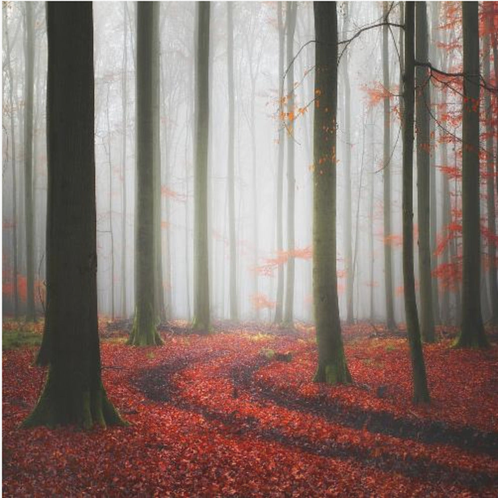 Höstspår | Canvas