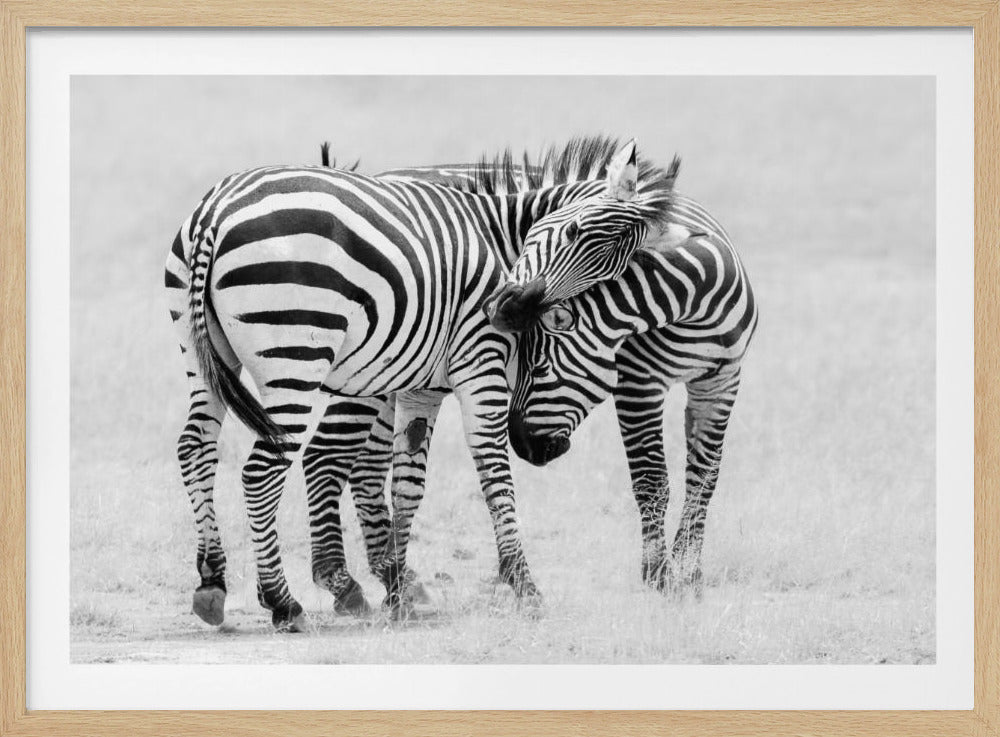 Momento tenero | Poster - Stampe d’Arte