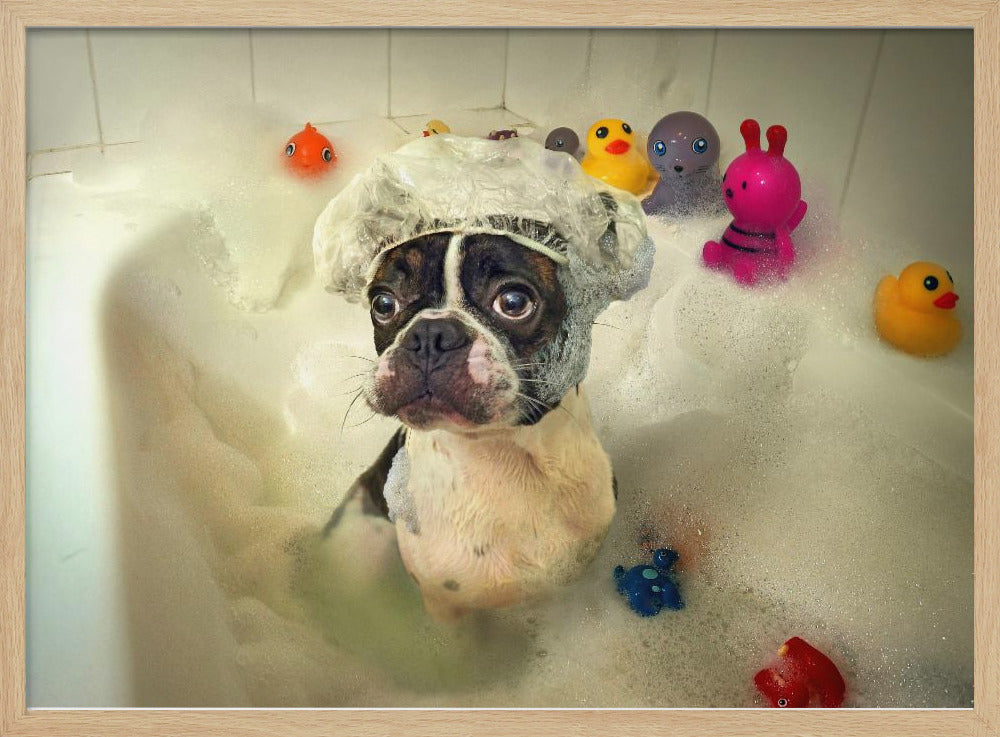Badet | Poster