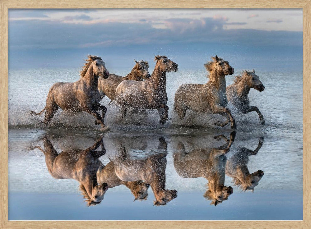 Hästar och reflektion | Poster
