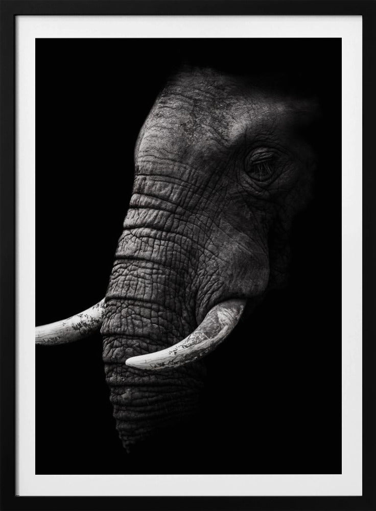 Porträtt | Poster
