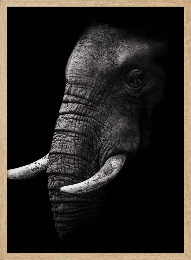 Porträtt | Poster