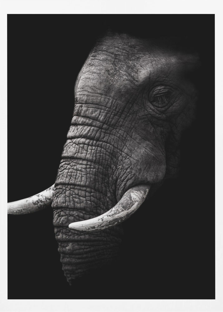 Porträtt | Poster