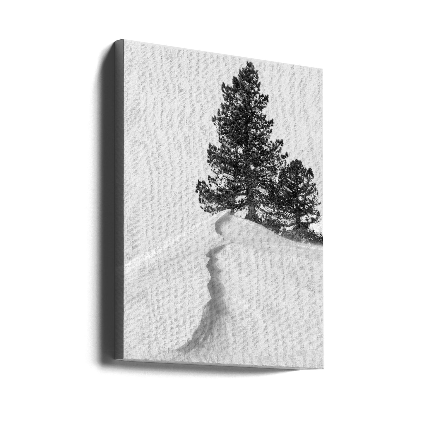 About the snow and forms | Canvas