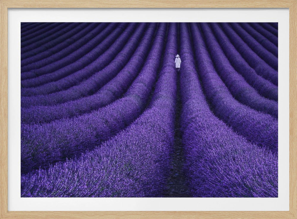 SIE | Poster - Kunstdruck