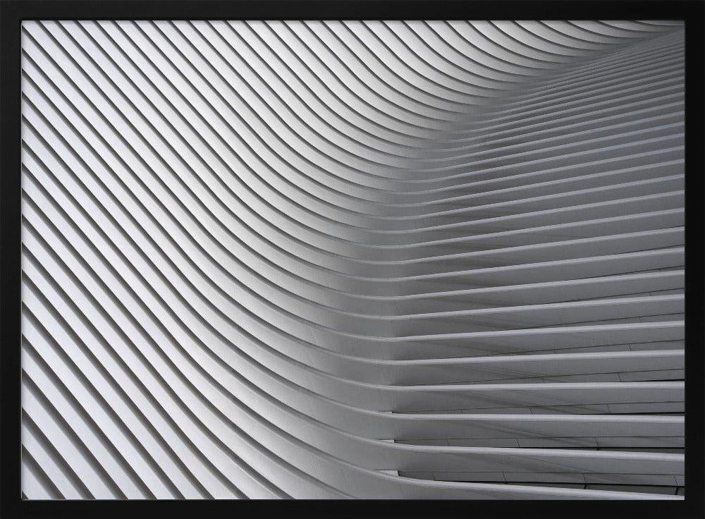 Calatrava-kurvorna #2 | Poster