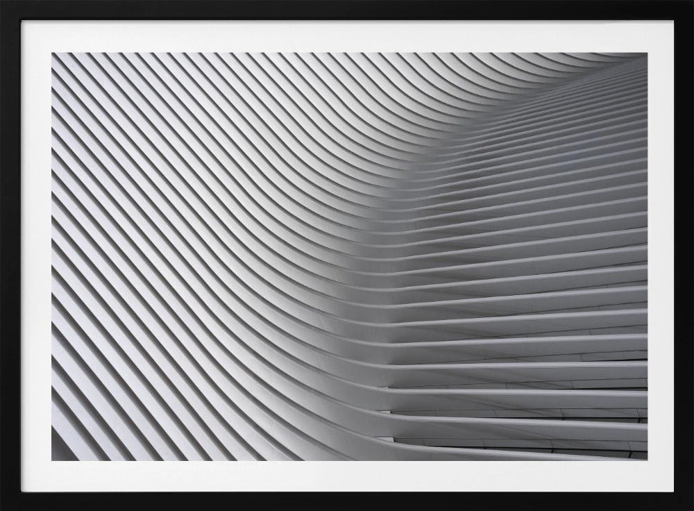 Calatrava-kurvorna #2 | Poster