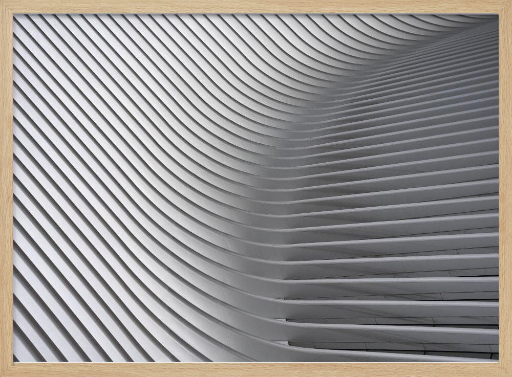Curve di Calatrava n. 2 | Poster - Stampe d’Arte