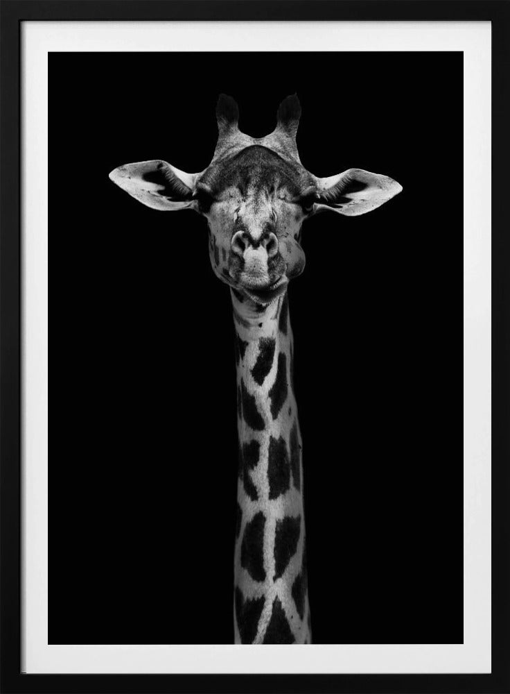 Giraffporträtt | Poster