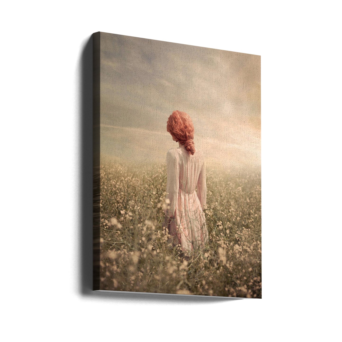 Field in Pastel | Canvas