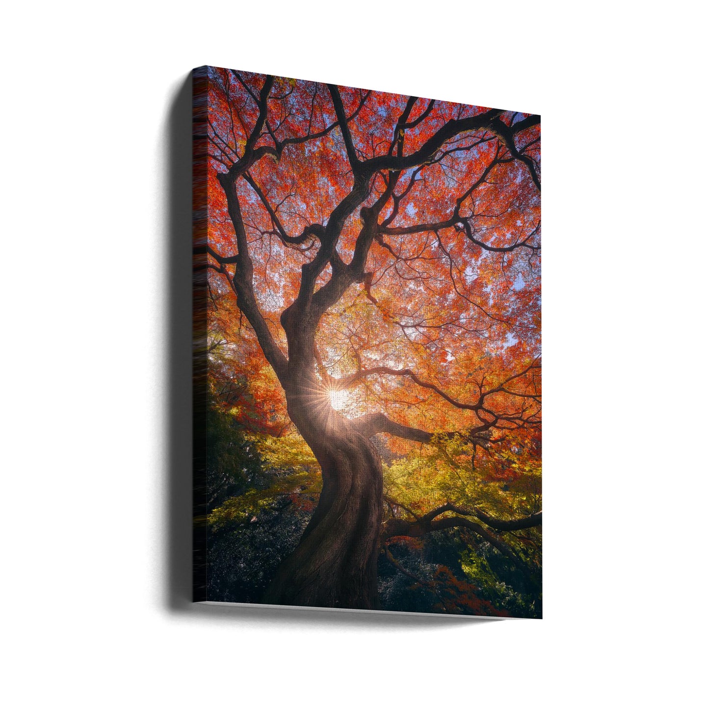 L'arbre japonais | Tableaux sur Toile