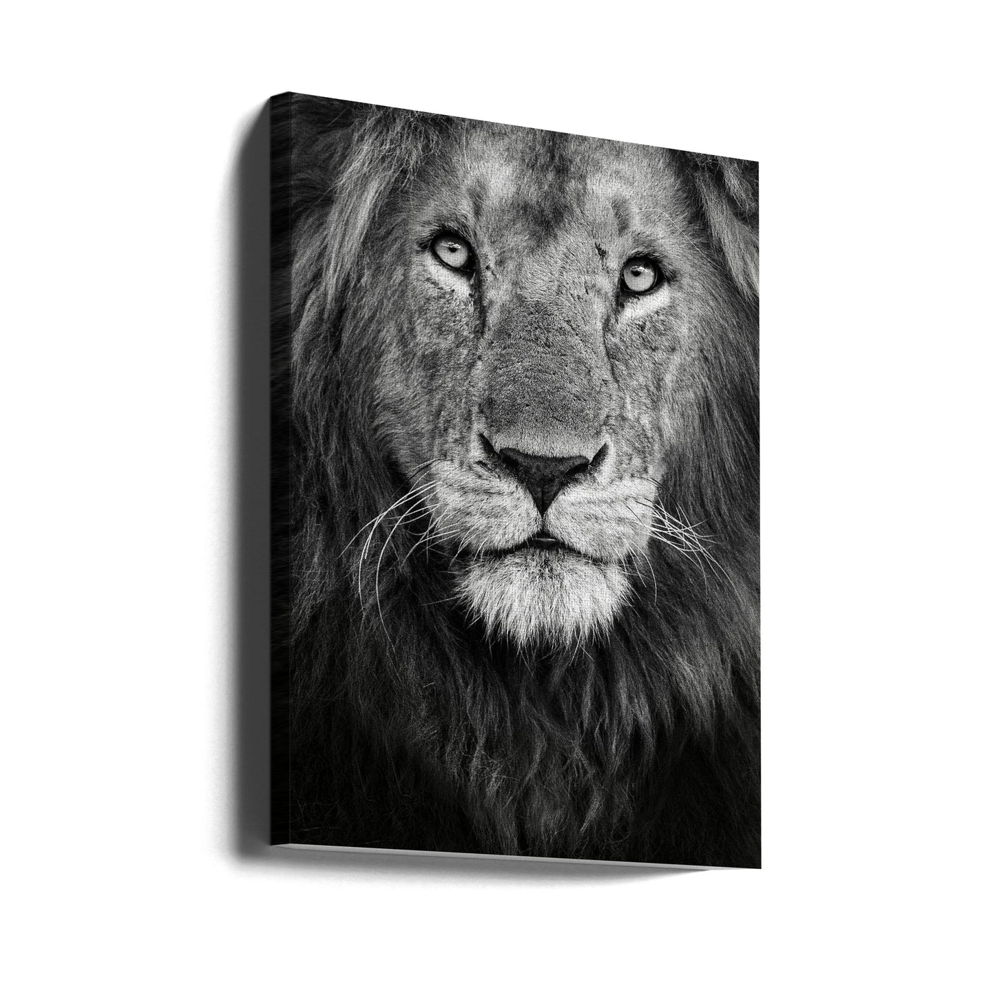 Royal portrait | Canvas