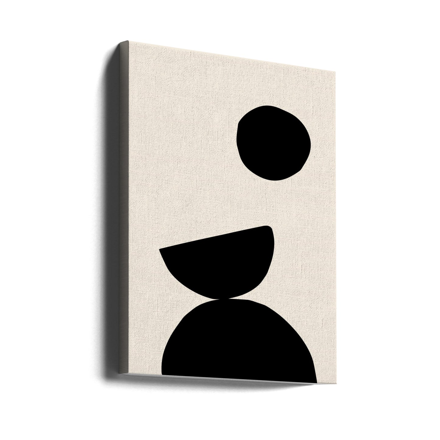 Organic Shapes 09 | Canvas