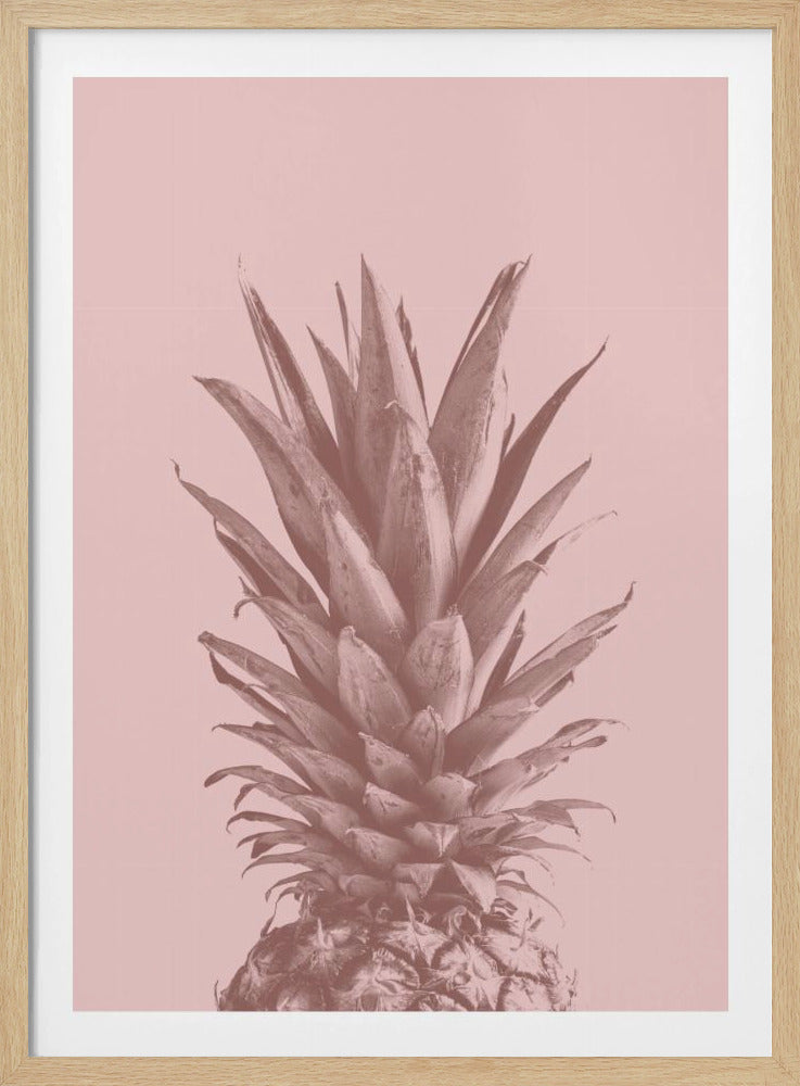 Ananasrosa 05 | Plakater - Kunsttrykk