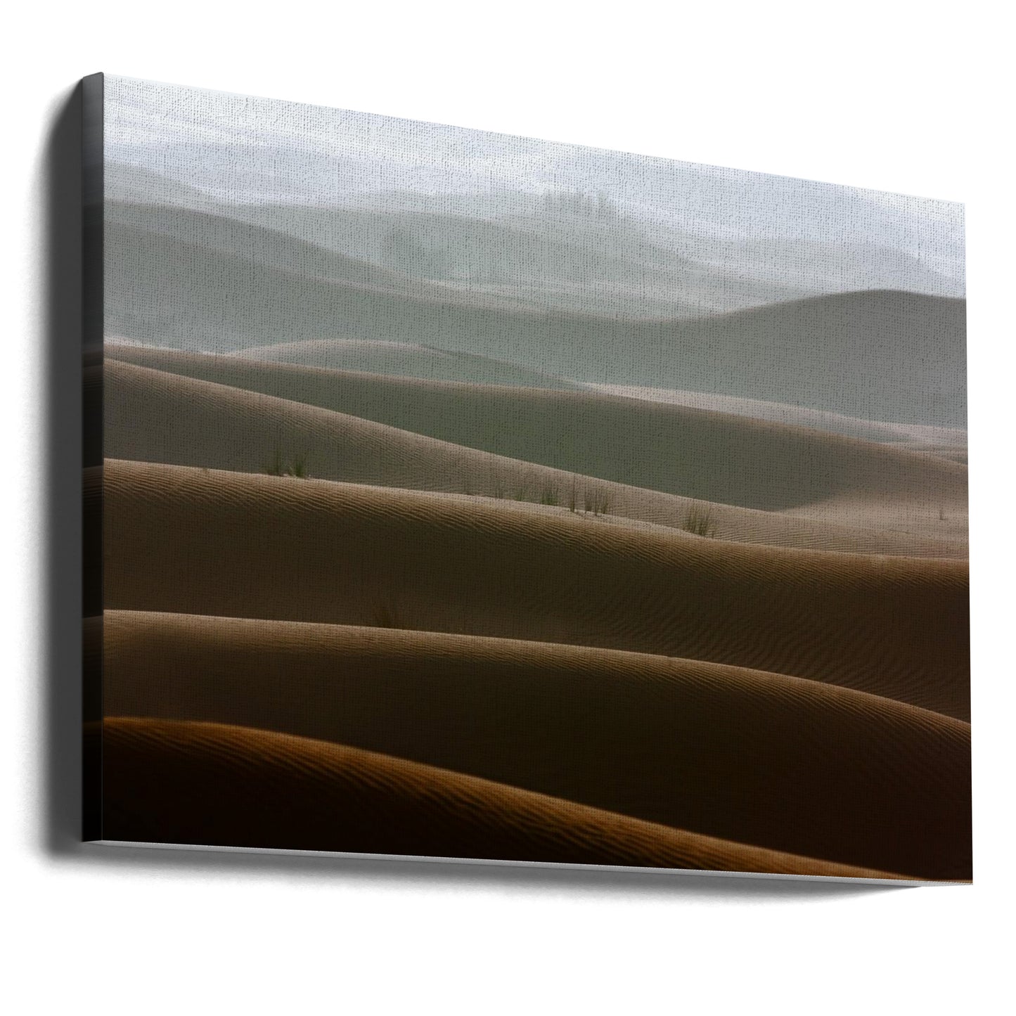 Dimmig morgon | Canvas