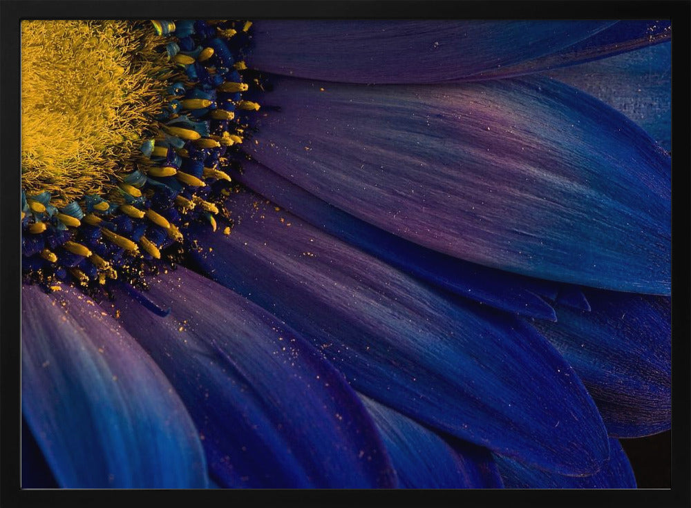 Rayos azules | Posters  - Impresiones de Arte