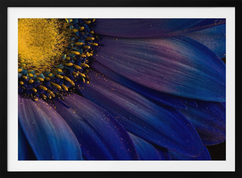 Rayos azules | Posters  - Impresiones de Arte