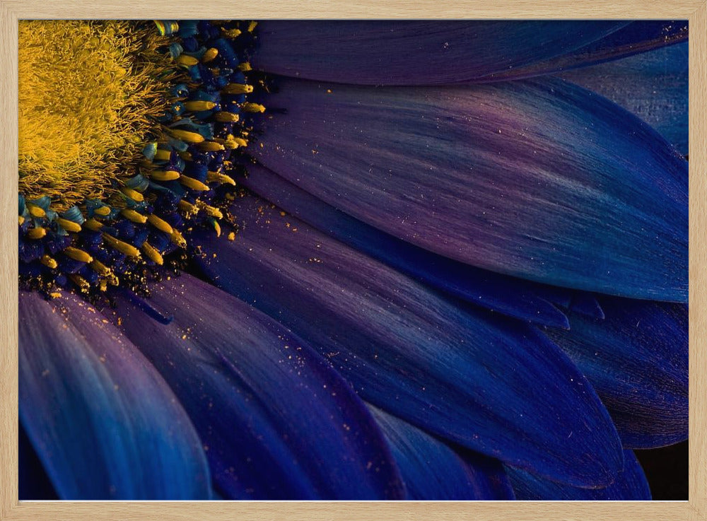 Rayos azules | Posters  - Impresiones de Arte