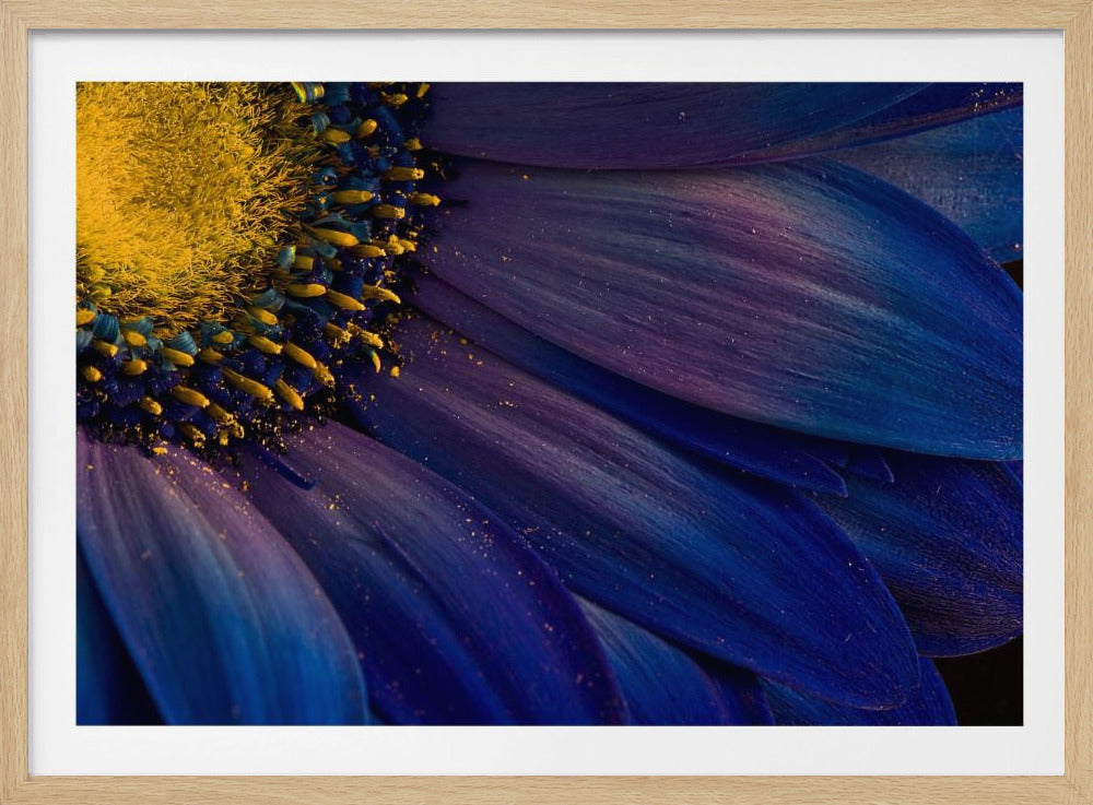 Rayos azules | Posters  - Impresiones de Arte