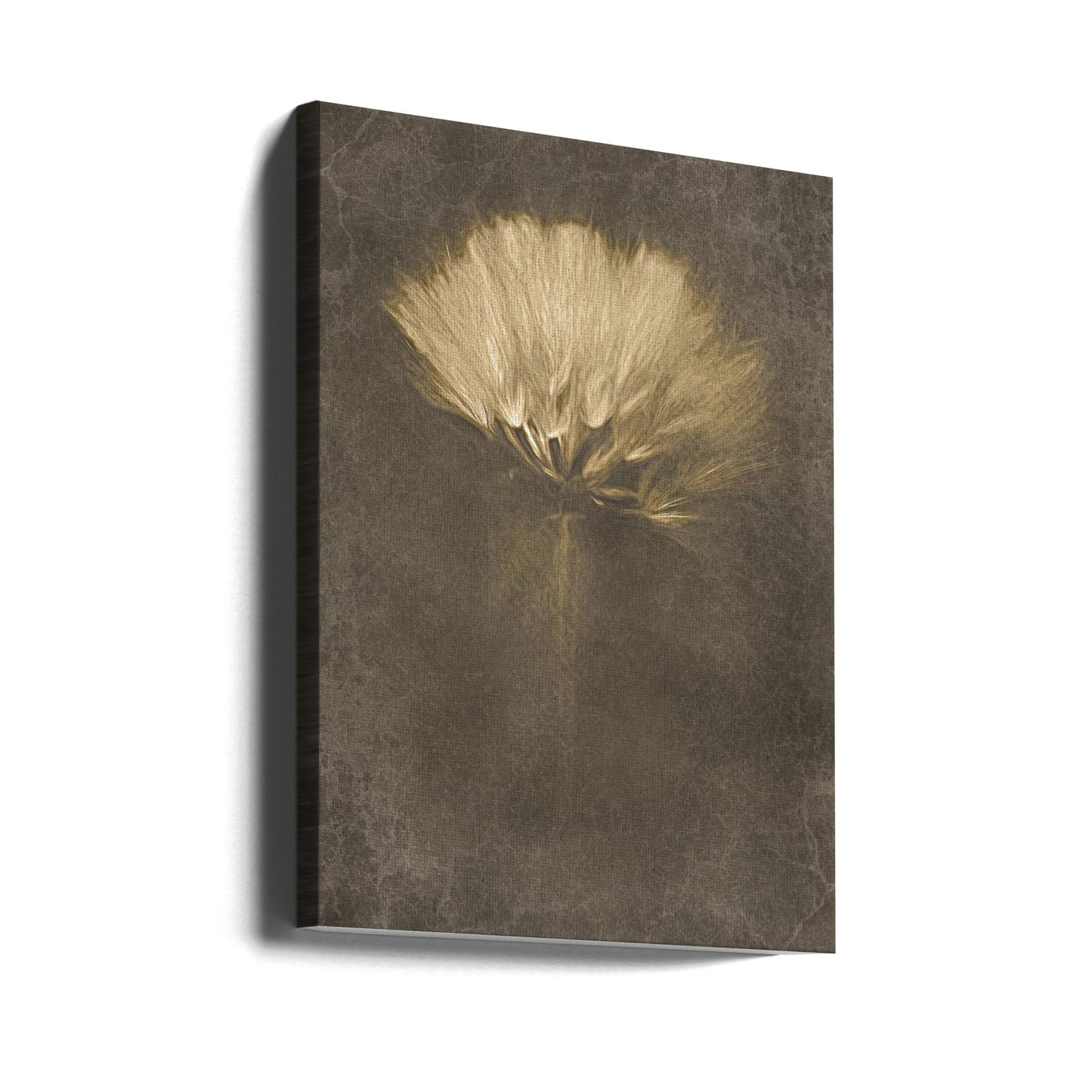 Mysterious Days | Canvas