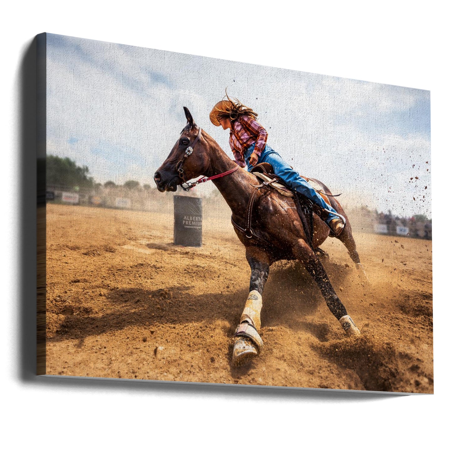 Trampa i bromsen | Canvas