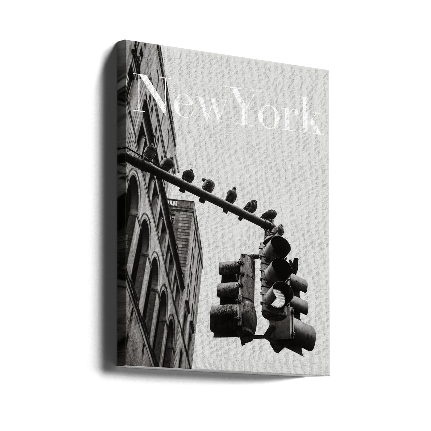 NYC Doves | Canvas