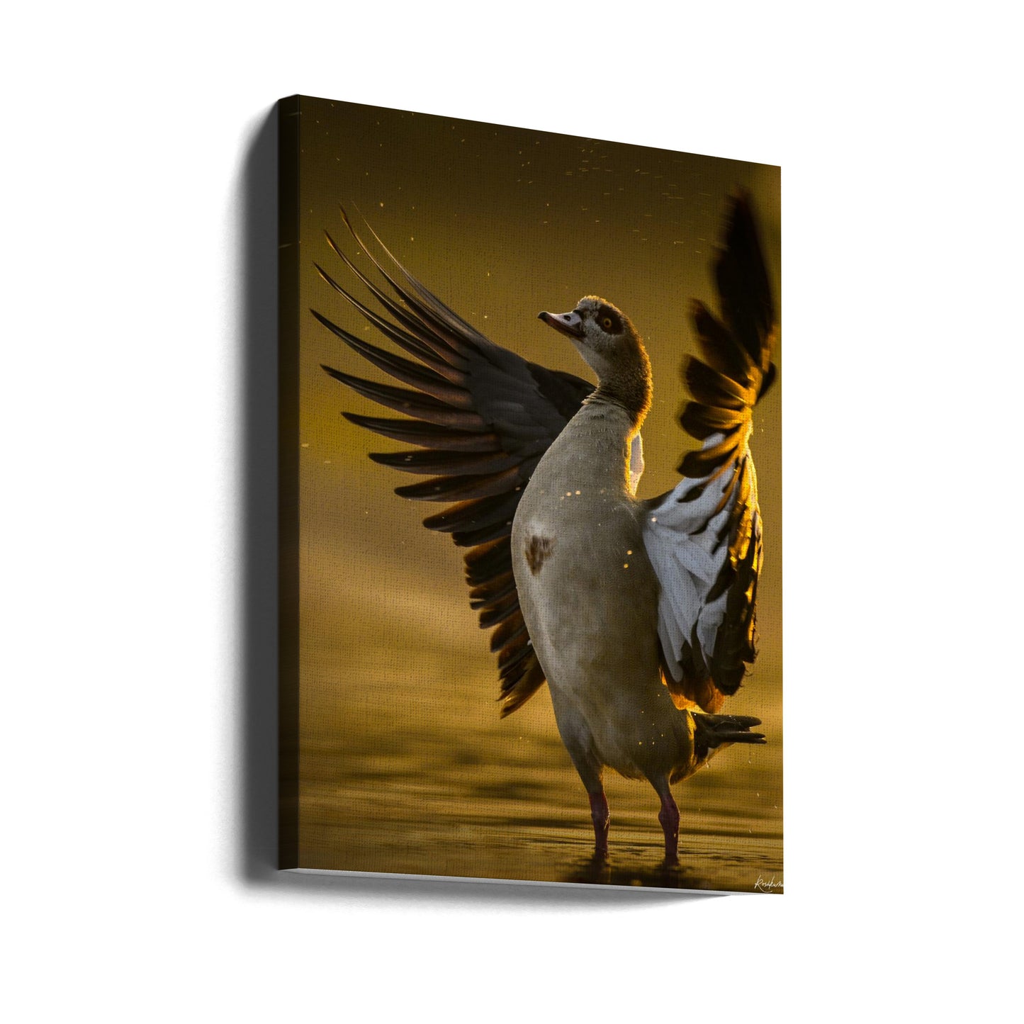 Open  Heart | Canvas