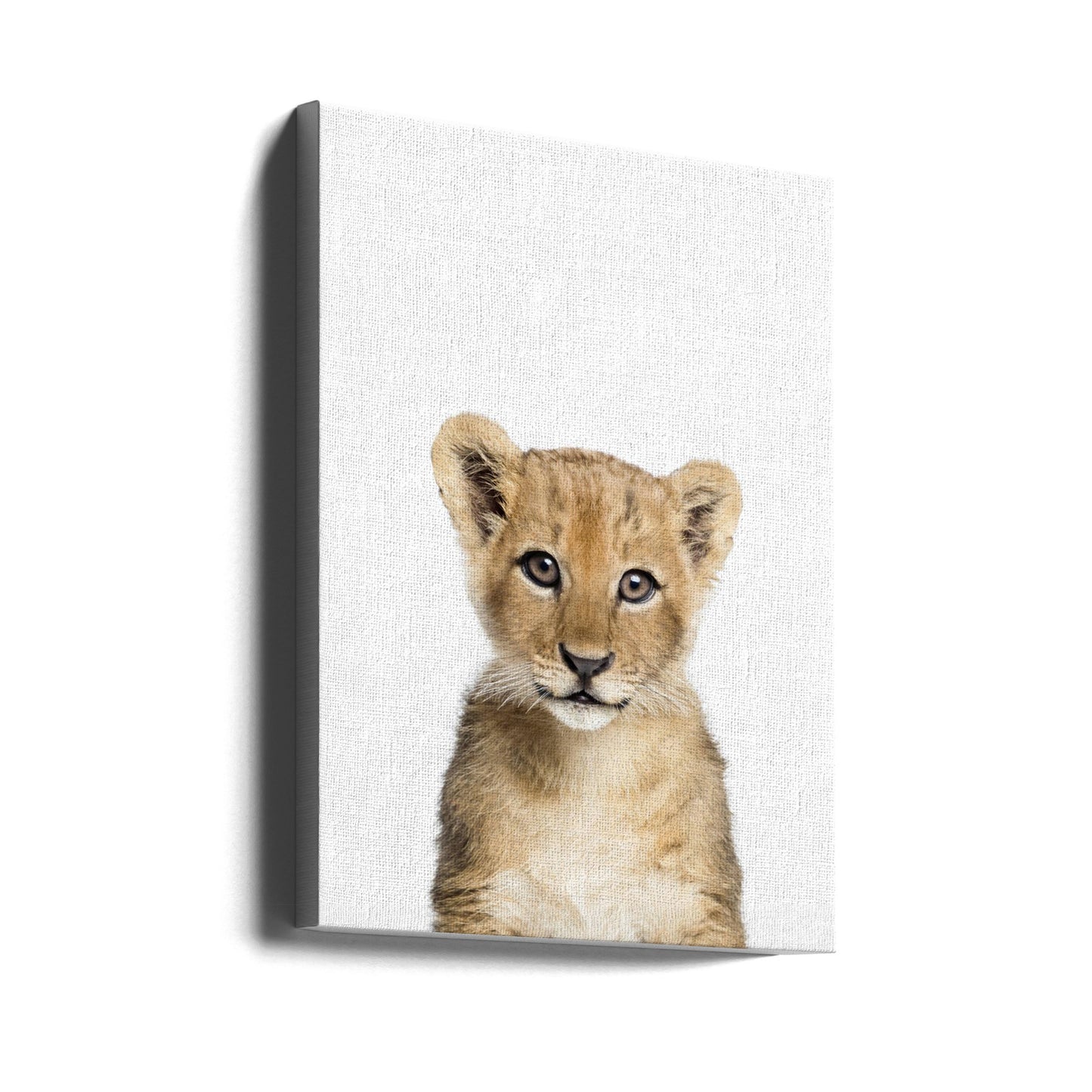 Bébé Lion | Tableaux sur Toile