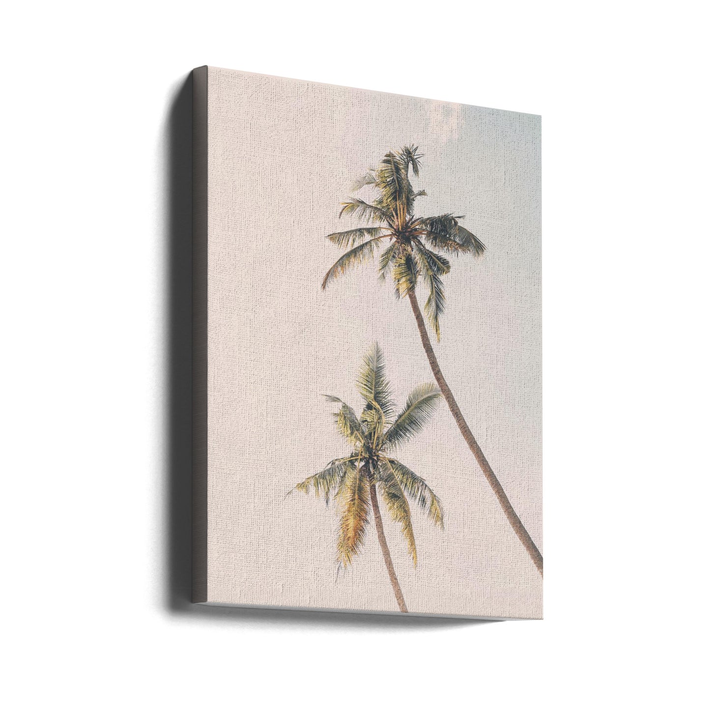 Tropische palmen | Canvasprints