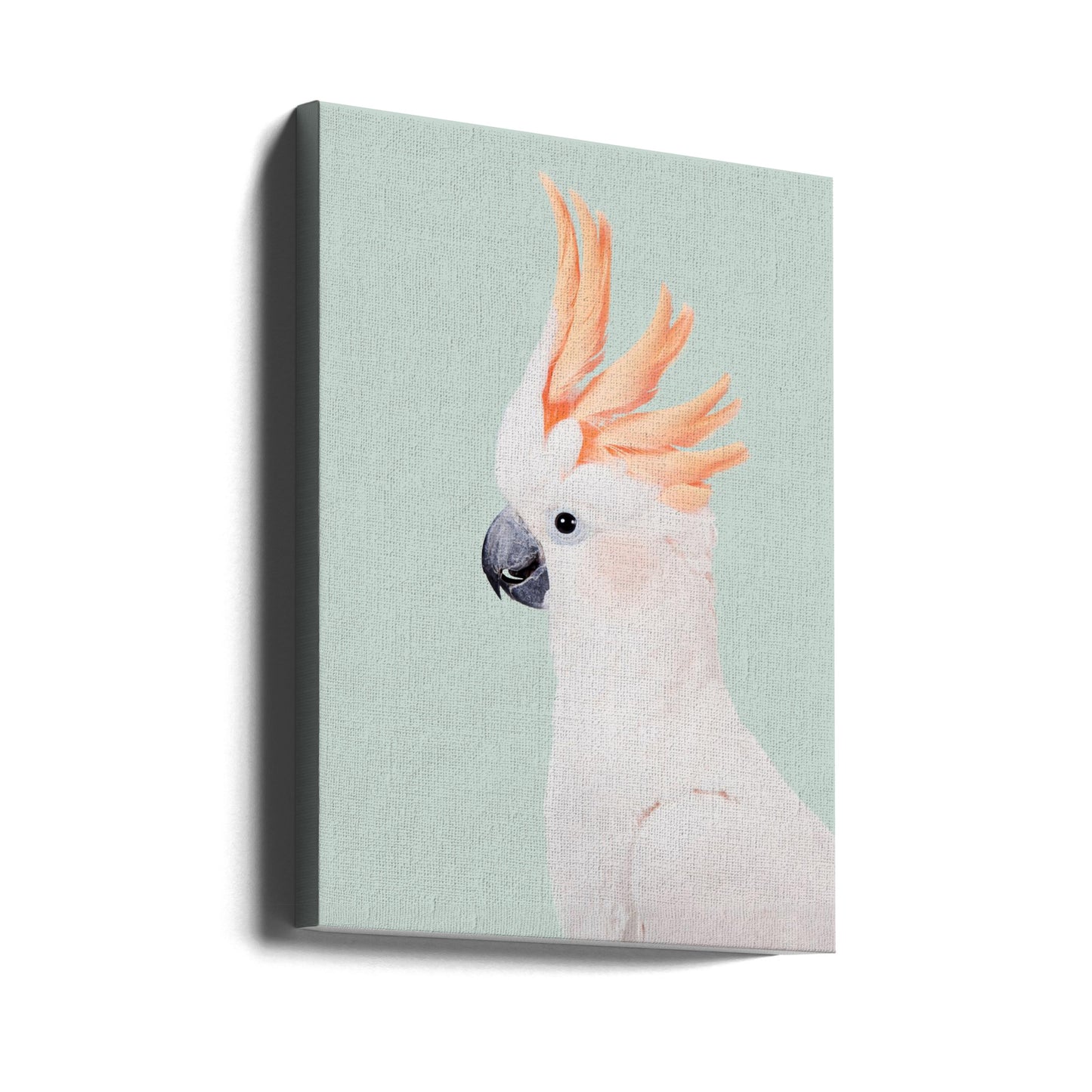 Cacatúa | Impresiones en Lienzo