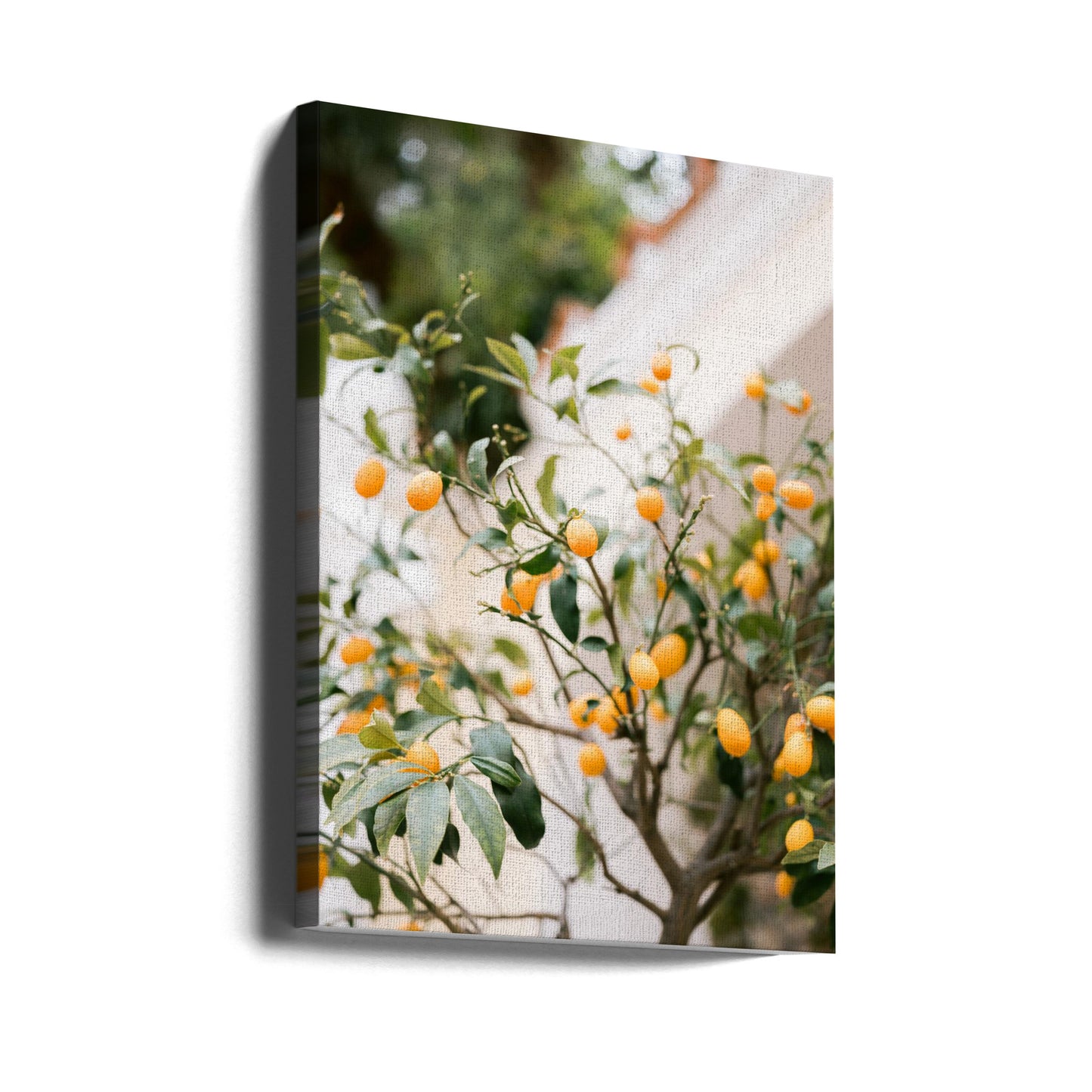 Orange Capri | Leinwand
