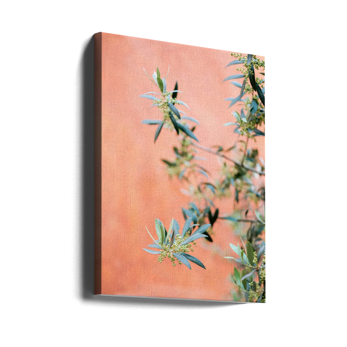 Grönt och korall | Canvas