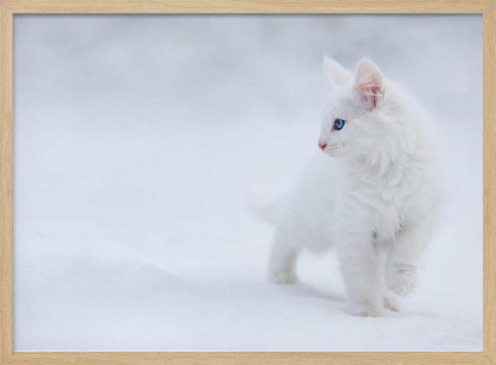 Vit som snö | Poster