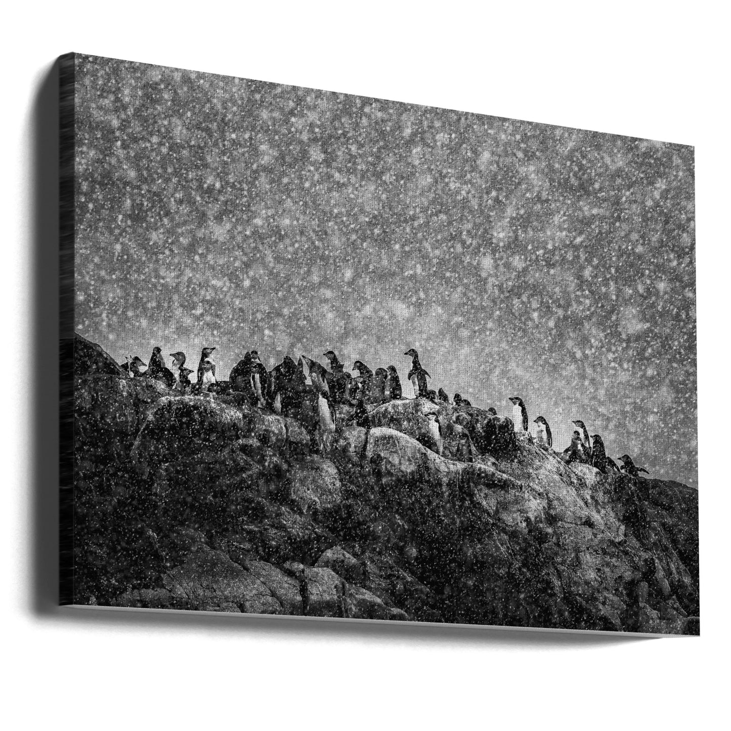 Antarctic storm | Canvas