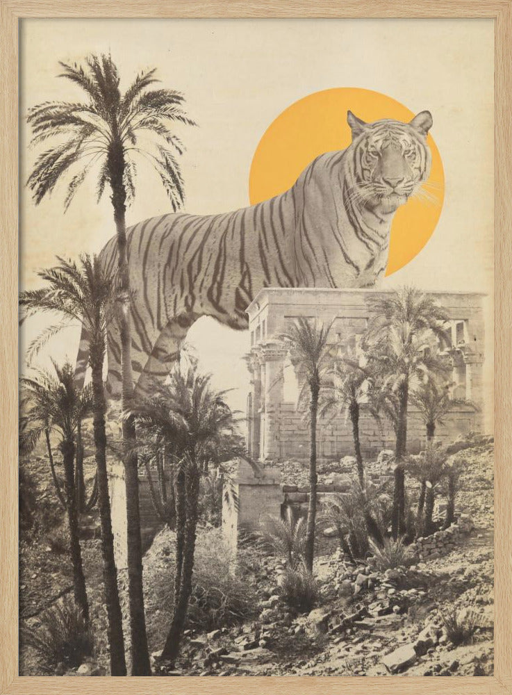 Jättetiger i ruiner | Poster