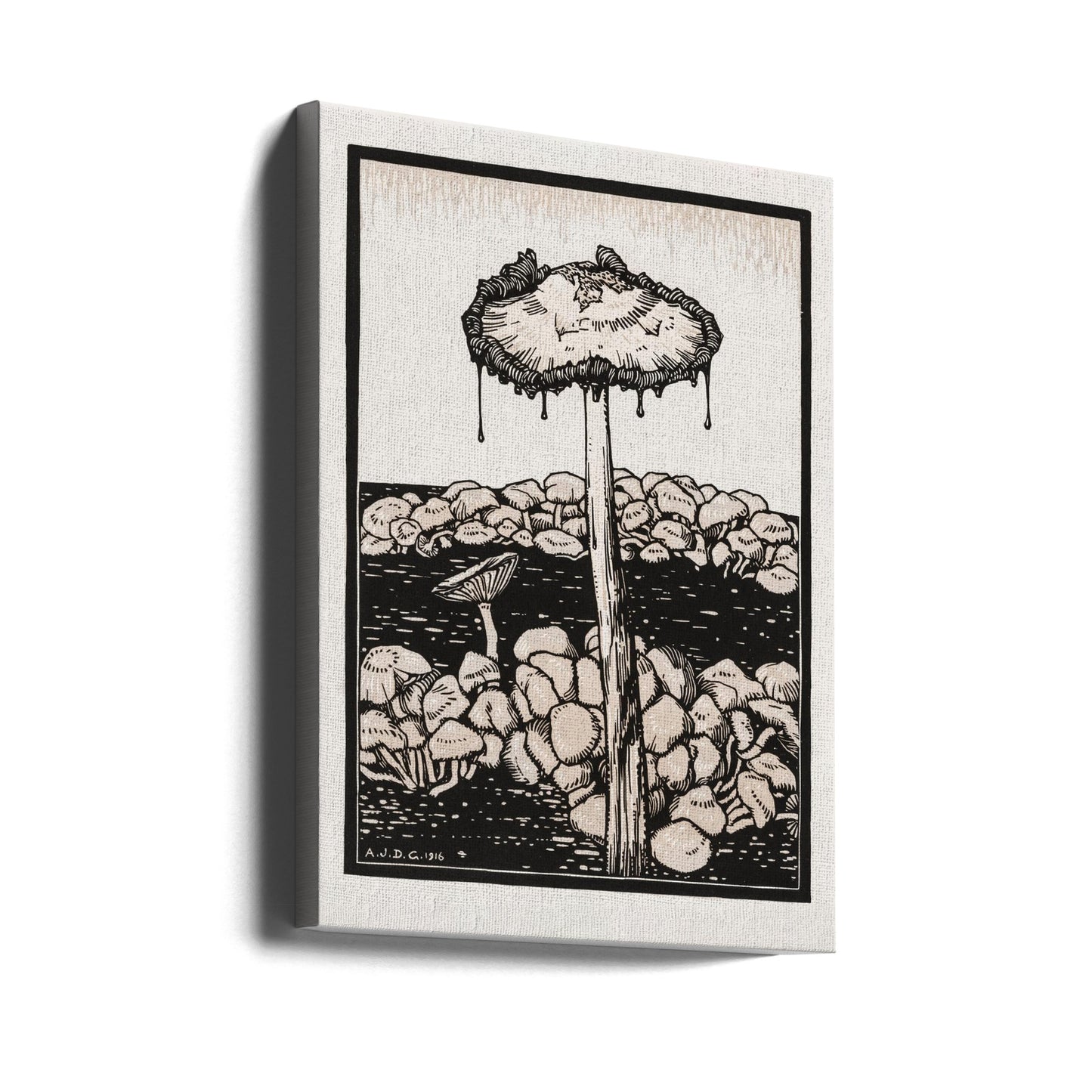 Champignon dégoulinant 1916 | Tableaux sur Toile