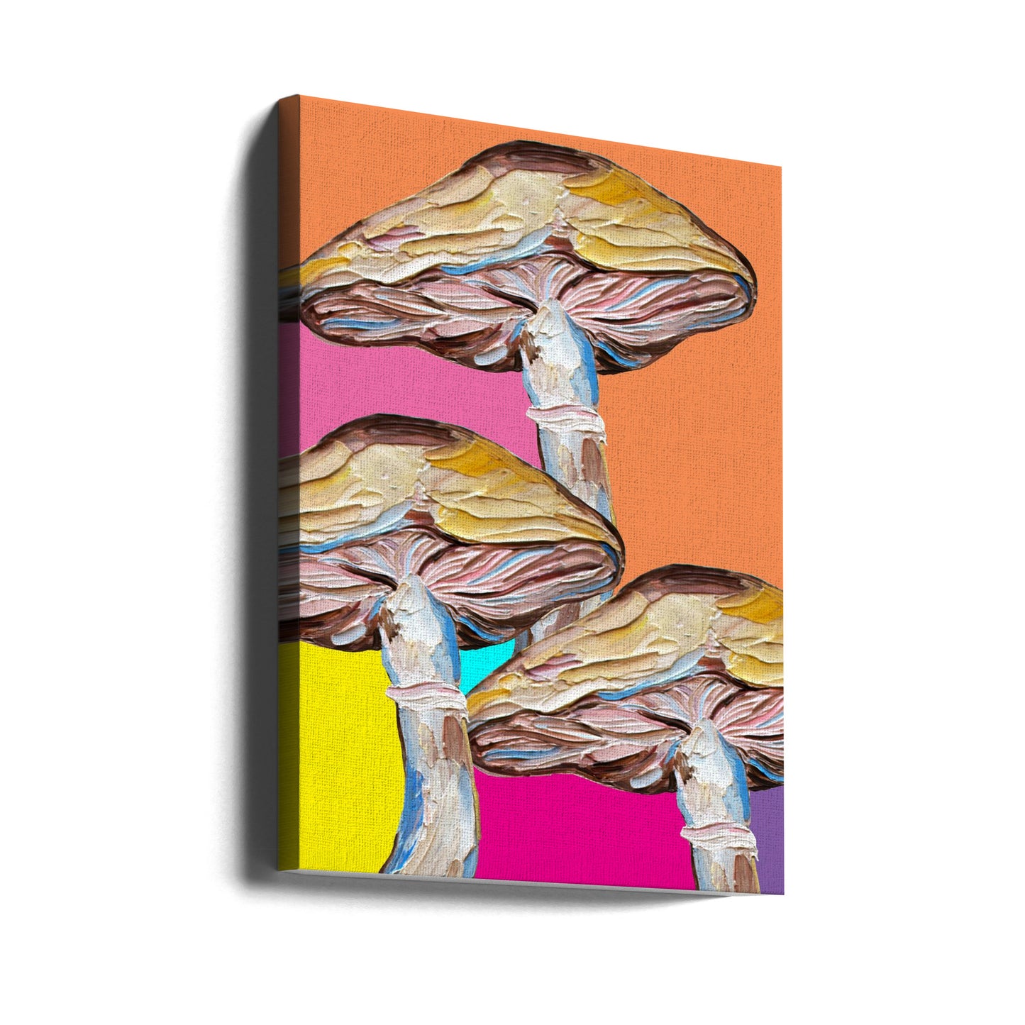 Psykedeliska svampar | Canvas