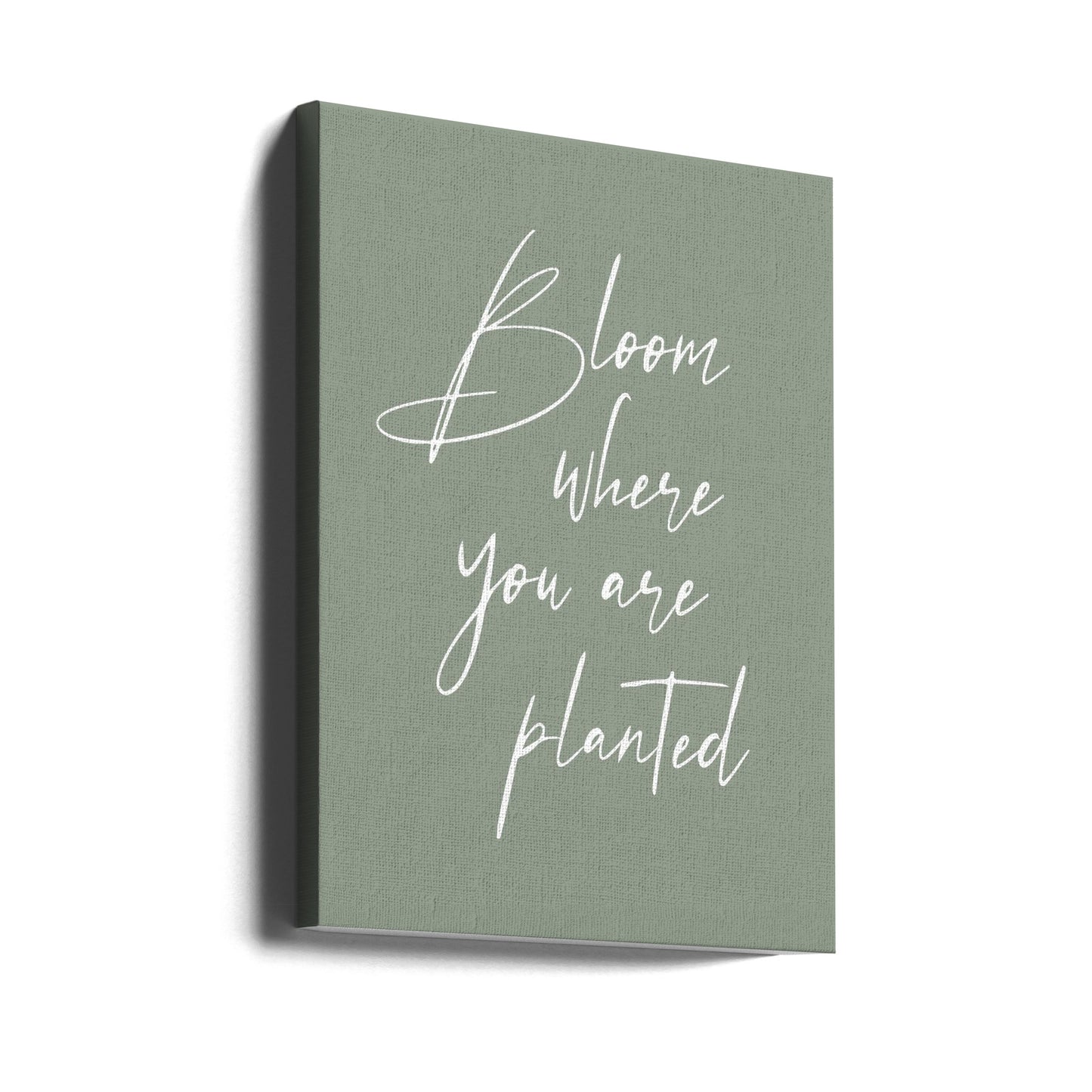 Bloei | Canvasprints