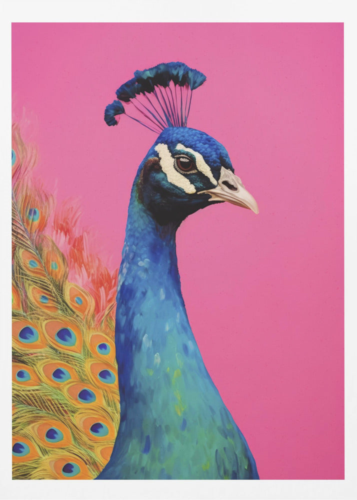 Beautiful Peacock | Poster