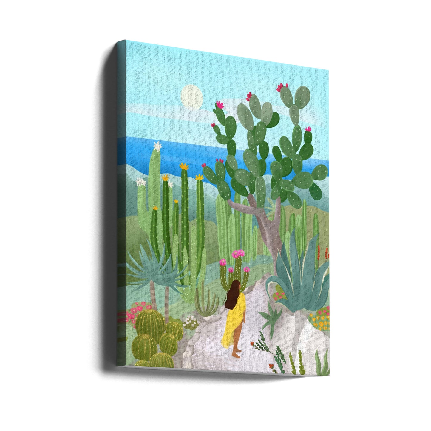 Elz Jardine | Canvas