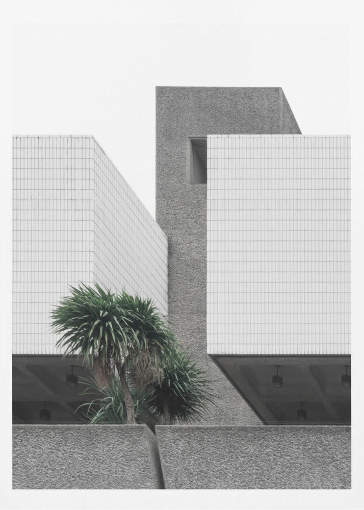 Lonely Palms | Poster