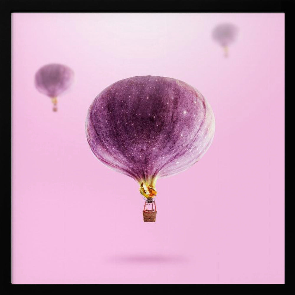 Feigenballons | Poster - Kunstdruck