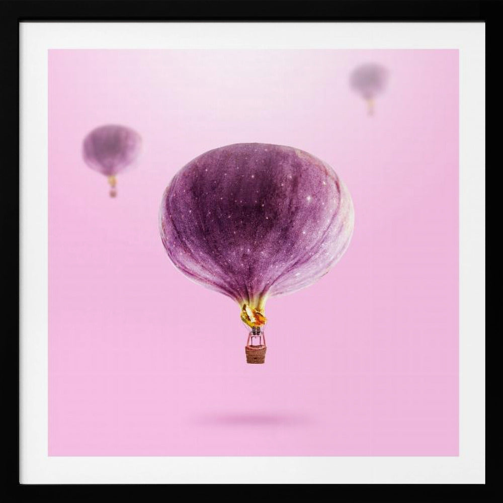 Feigenballons | Poster - Kunstdruck